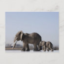 Recherche de éléphant bleu cartes postales Collage