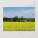 Zoek naar platteland briefkaarten Mooi