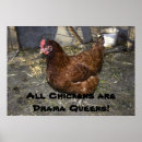 Recherche de humour coq art Oiseau