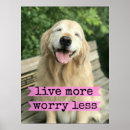 Recherche de grands yeux posters Chien