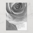 Recherche de rose blanc noir cartes postales Jolie
