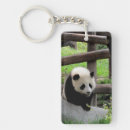 Zoek naar red panda sleutelhangers Afbeelding