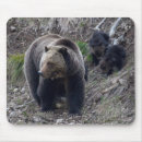 Recherche de ours gris tapis souris Petits animaux