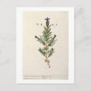 Recherche de françaises cartes postales Fleurs