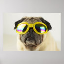 Recherche de pug decor Puppy
