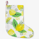Recherche de citron chaussette de noël Agrumes
