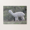 Zoek naar alpaca puzzels Lama