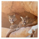 Recherche de cougar carreaux Puma