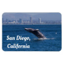 Recherche de baleine magnets Nature