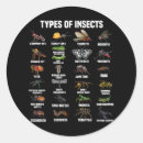Recherche de entomologie autocollants Nature