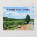 Recherche de raisins vigne cartes postales Paysage