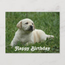 Recherche de puppy posters Anniversaire