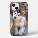 Recherche de puppy iphone coques Animal