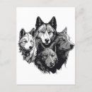 Recherche de portrait de loup cartes postales Loups