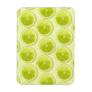 Recherche de chaux magnets Fruit