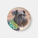Recherche de b jour magnets Chanceux