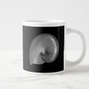 Recherche de coquille tasses Vie marine