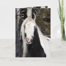 Recherche de gitan vœux cartes Cheval