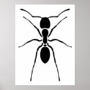 Recherche de fourmi noire posters Insecte
