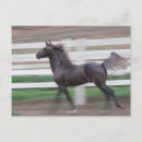 Recherche de studies posters Horse