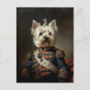 Recherche de amiral cartes postales Animal
