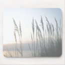 Recherche de dunes tapis souris Paysage marin