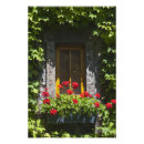 Recherche de géranium posters Fleurs
