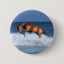 Recherche de selle badges Cheval