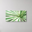 Recherche de plante abstrait art Agave
