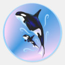Recherche de orca autocollants Océan