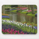 Recherche de jacinthe tapis souris Jardin