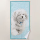 Recherche de coton de tulear Tuleaire