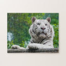 Zoek naar witte tijger puzzels Dieren