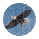 Recherche de aigle planches à découper Animal