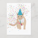 Zoek naar funny animals briefkaarten Kat