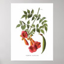 Zoek naar vin vintage posters Illustratie