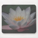 Recherche de lotus tapis souris Nature