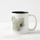Recherche de despote tasses Chiot
