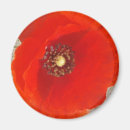 Recherche de flore magnets Inspiration