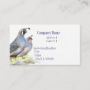 Recherche de observation des oiseaux cartes visite Faune