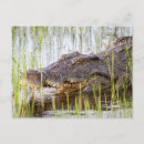 Recherche de voyage afrique cartes postales Africaine