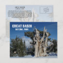 Recherche de bassine cartes postales Grand bassin