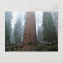 Recherche de sherman cartes postales Californie
