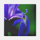 Recherche de flower magnete Pour elle