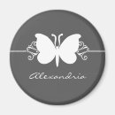 Recherche de bille magnets Élégant