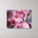 Recherche de cerisier japonais art Fleurs de cerisier