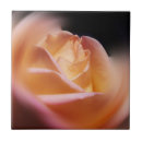Recherche de superbe photographie Nature