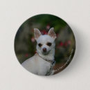 Recherche de chiwawa badges Blanc