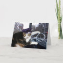 Recherche de chauffeur cartes postales Humour