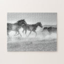 Zoek naar runen puzzels Paarden